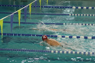 九游网页版入口-“新加坡泳池见证泳坛巨星！2025世界游泳锦标赛激烈开赛”  第3张